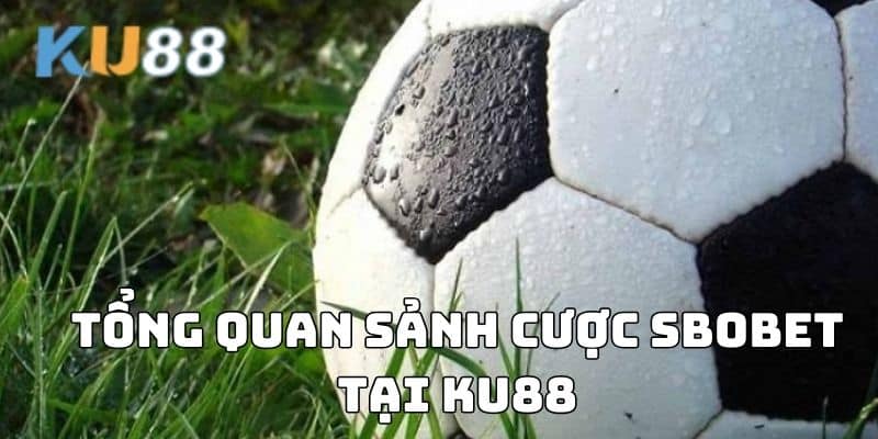 Tổng quan sảnh cược SBOBET tại KU88