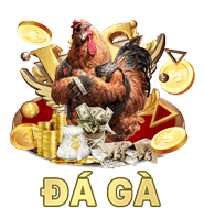 đá gà ku88